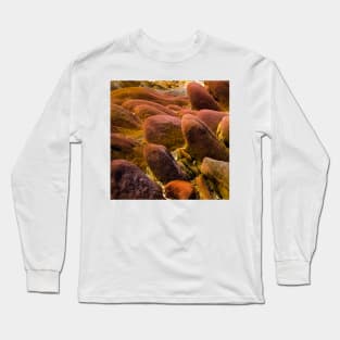 Bright Hills Long Sleeve T-Shirt